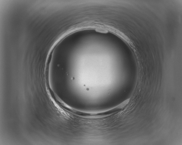 X0000057061536200509120835