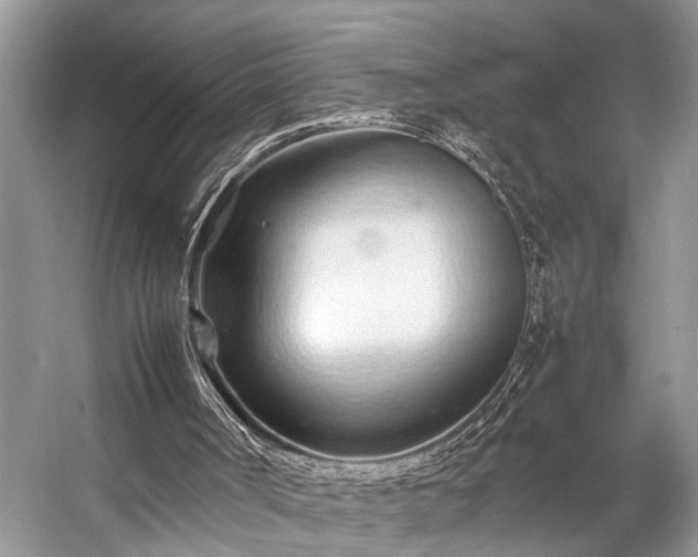 X0000057060002200509161504