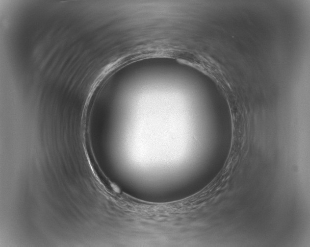 X0000057060003200509161504