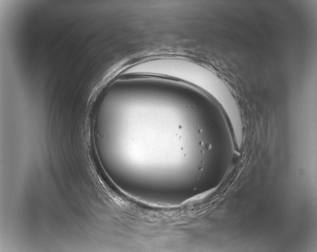 X0000057060005200509161504