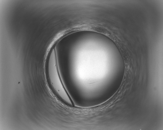 X0000057060006200509161504