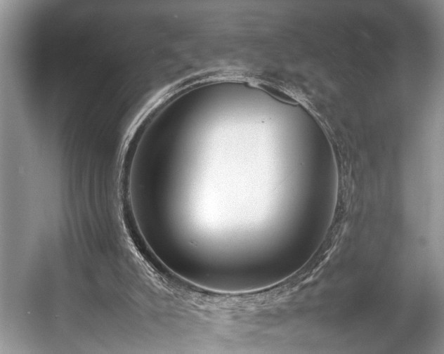 X0000057060007200509161504