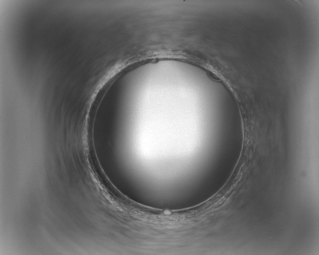 X0000057060008200509161504