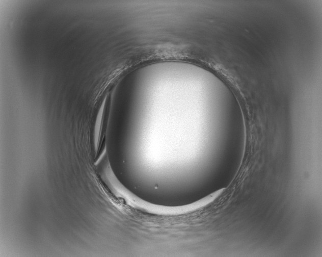 X0000057060009200509161504