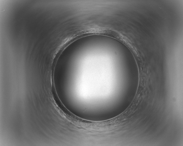 X0000057060011200509161504