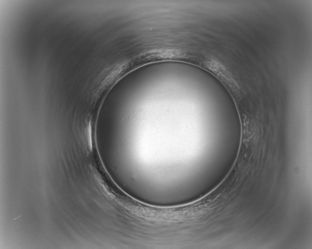 X0000057060014200509161504