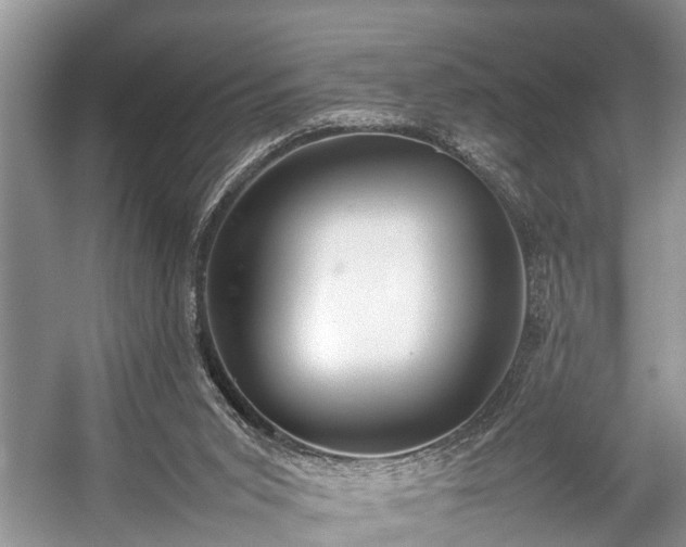 X0000057060015200509161504