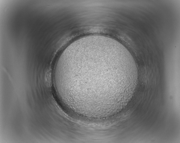 X0000057060016200509161504