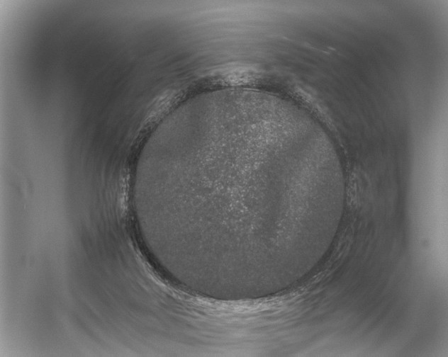 X0000057060018200509161504