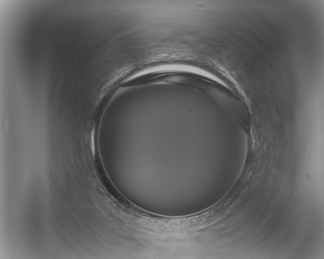 X0000057060019200509161504