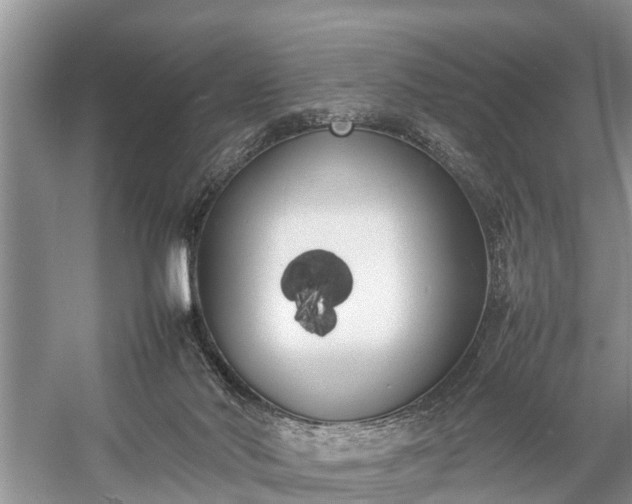 X0000057060022200509161503