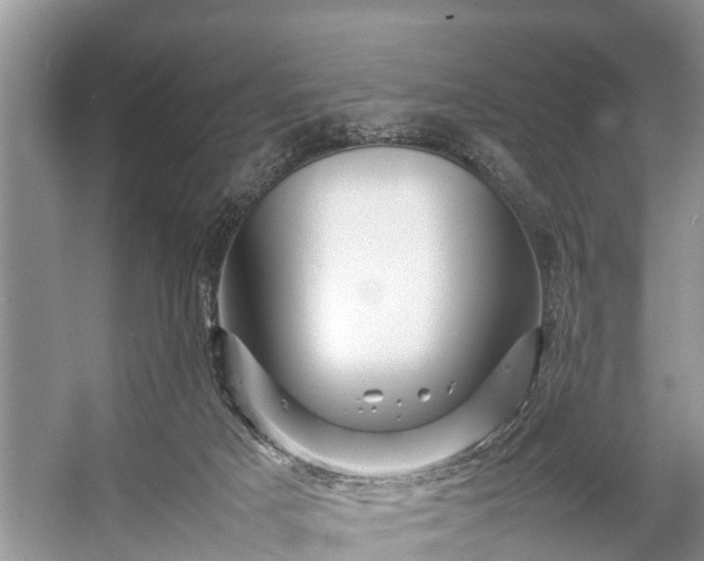 X0000057060025200509161503