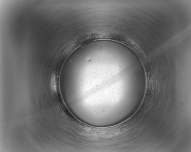 X0000057060026200509161503