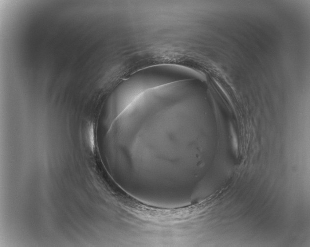 X0000057060027200509161503