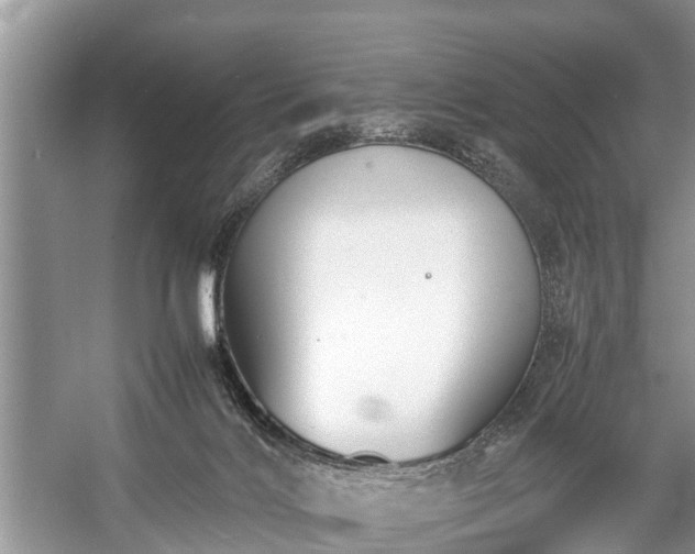 X0000057060028200509161503