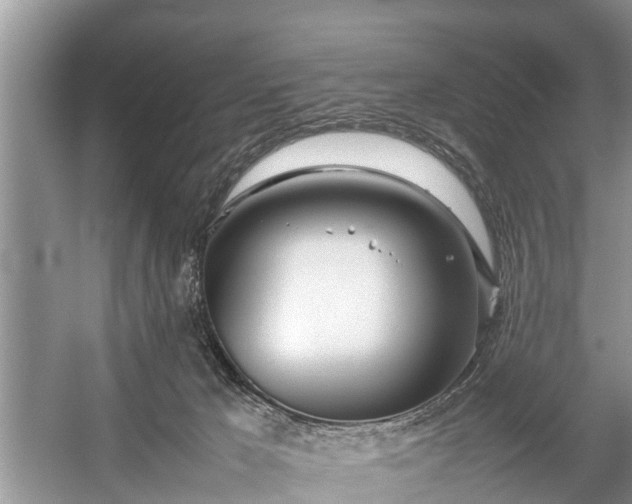 X0000057060029200509161503