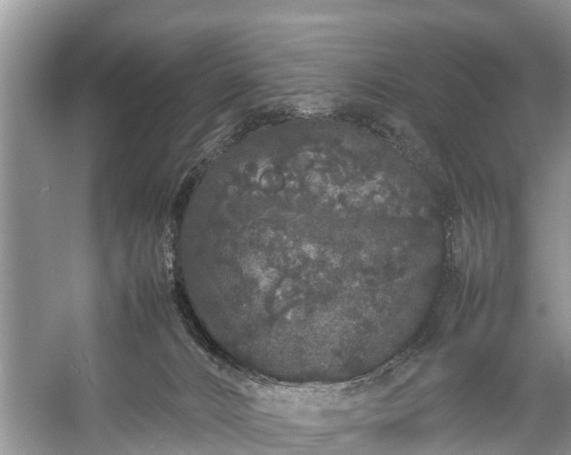 X0000057060032200509161503