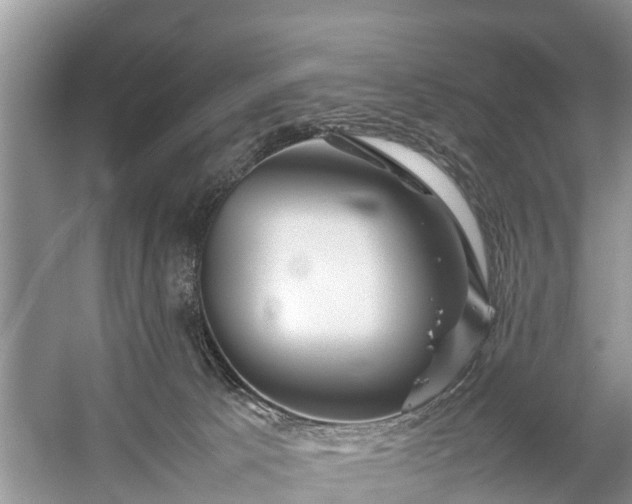 X0000057060033200509161503