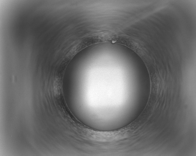 X0000057060034200509161503