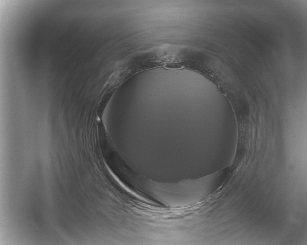 X0000057060035200509161503