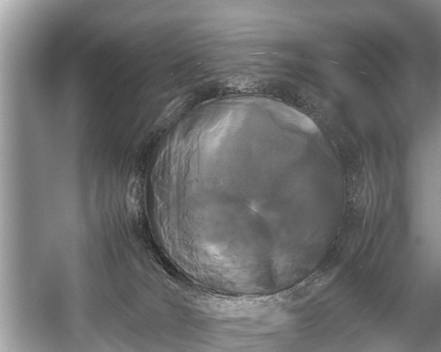 X0000057060036200509161503