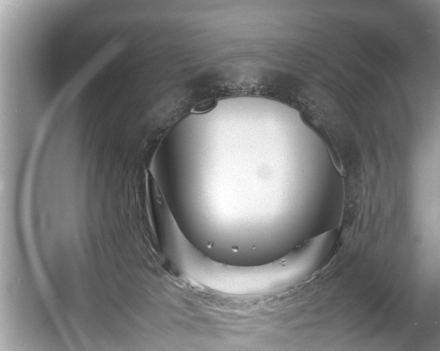 X0000057060037200509161503