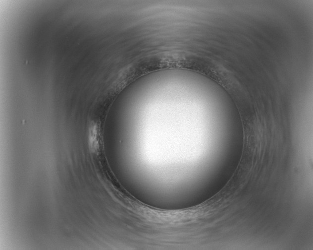 X0000057060038200509161503