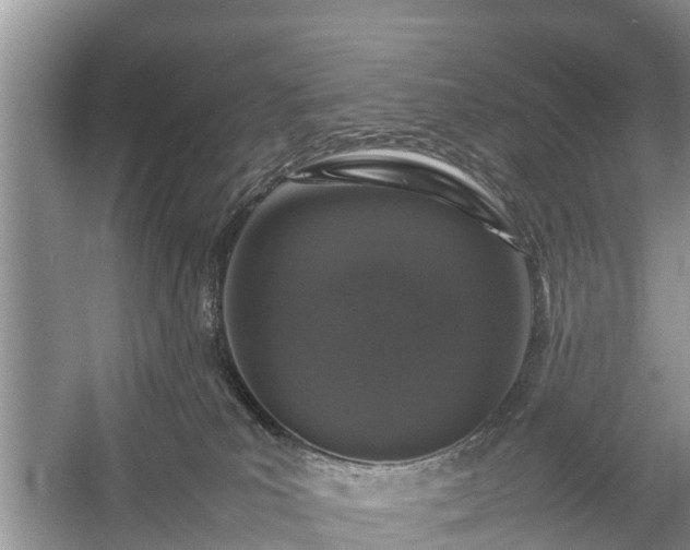 X0000057060039200509161503