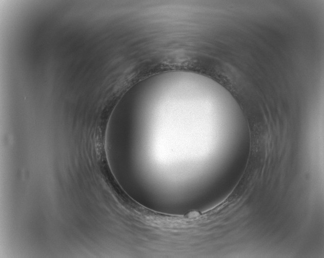 X0000057060040200509161503