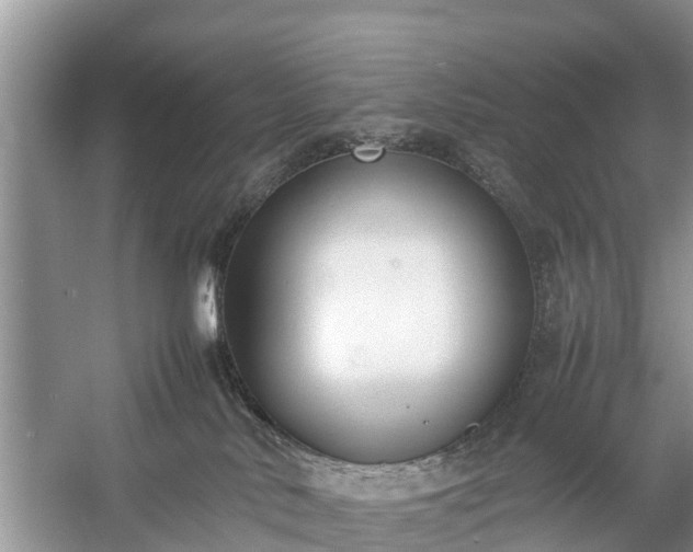 X0000057060042200509161503