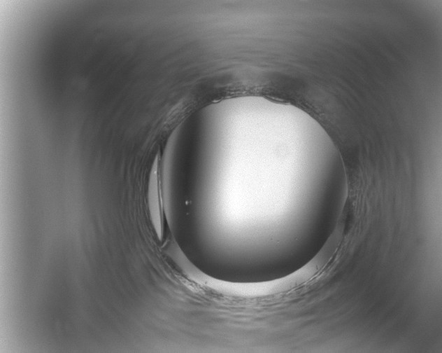 X0000057060045200509161503