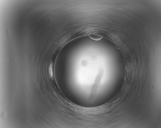 X0000057060046200509161503