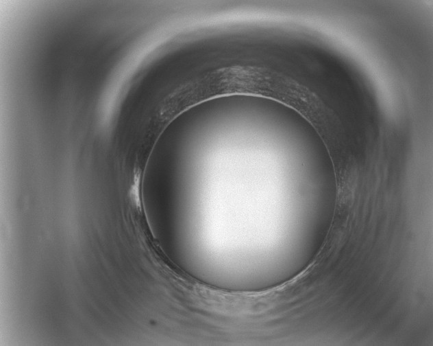 X0000057060047200509161503