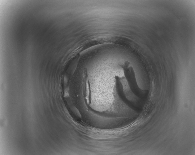 X0000057060048200509161503