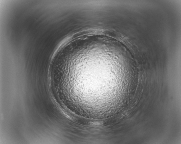 X0000057060053200509161502