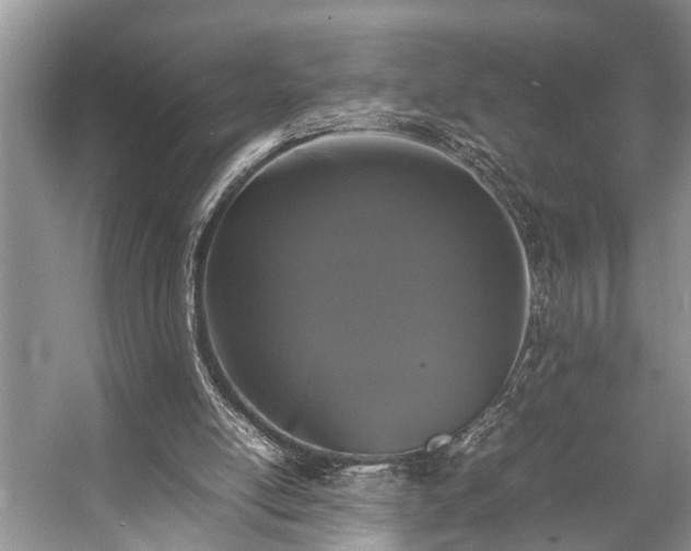 X0000057060054200509161502