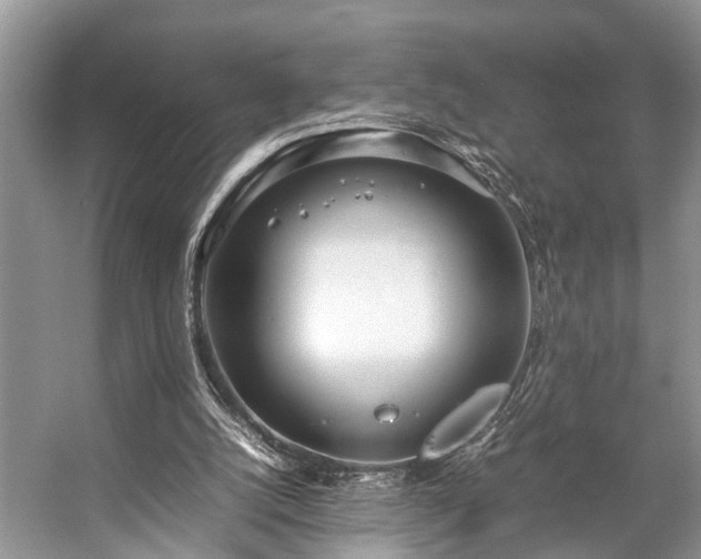 X0000057060056200509161502