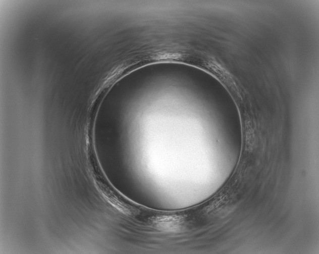 X0000057060059200509161502