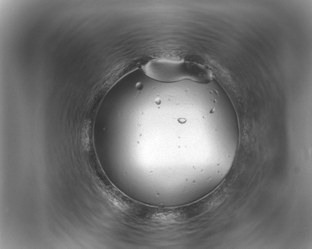 X0000057060065200509161502