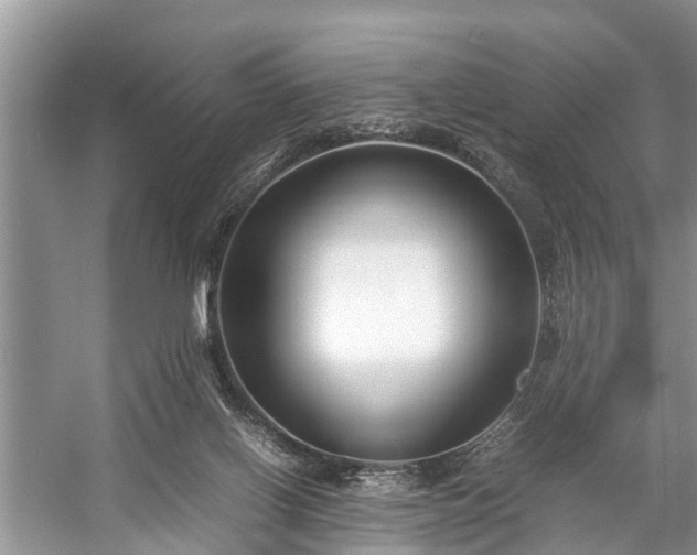 X0000057060070200509161503