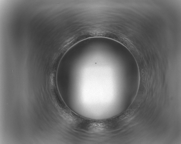 X0000057060071200509161503