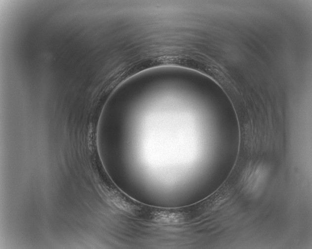 X0000057060073200509161503