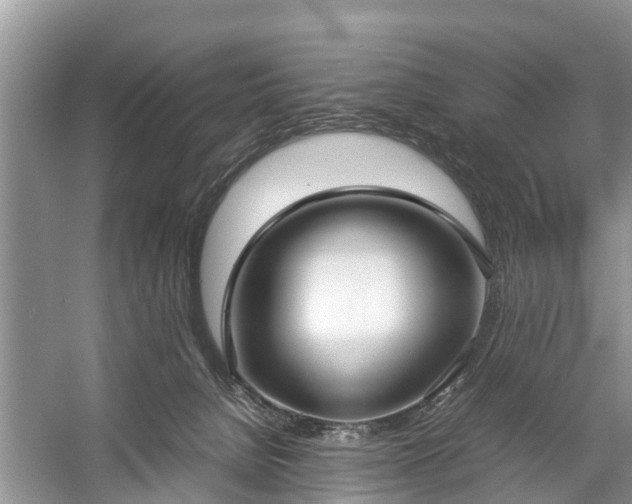 X0000057060080200509161503