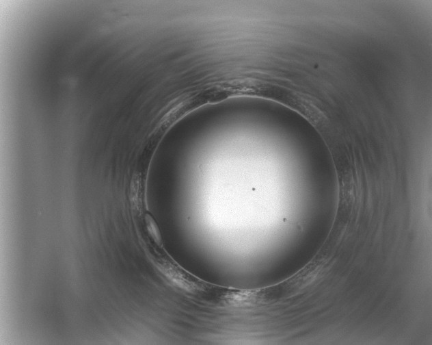 X0000057060092200509161503