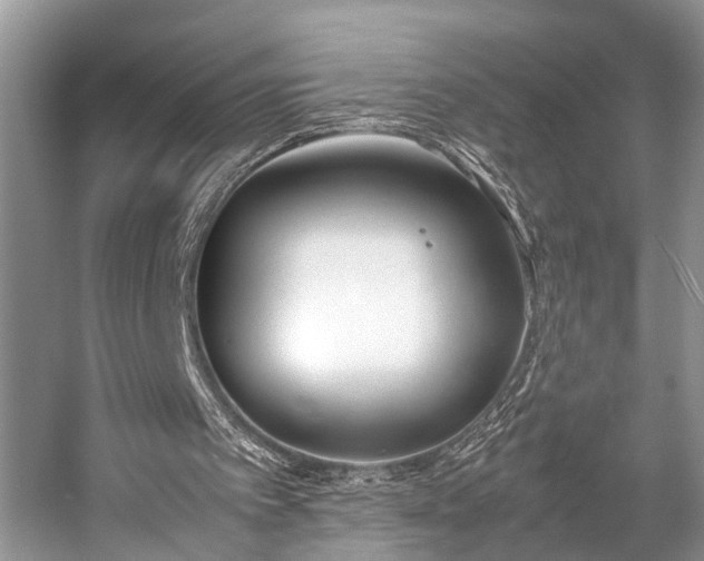 X0000057060097200509161502