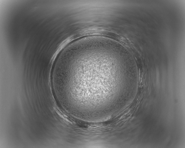 X0000057060099200509161502