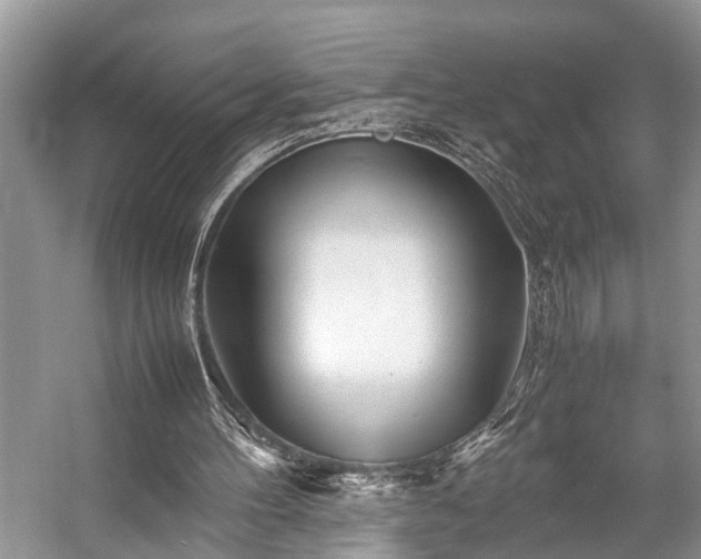 X0000057060100200509161502