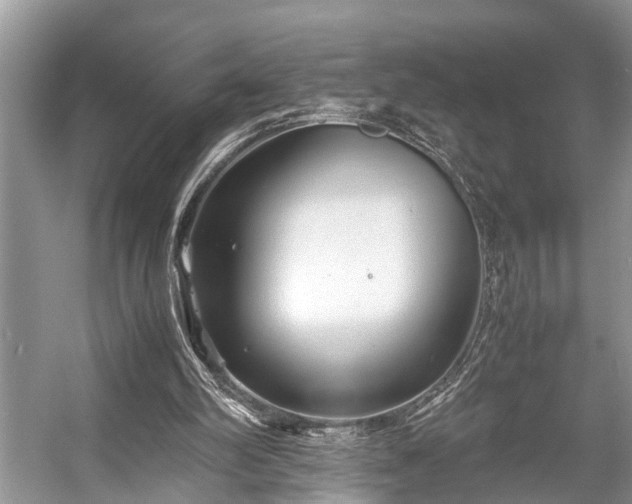 X0000057060102200509161502