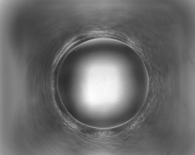 X0000057060103200509161502