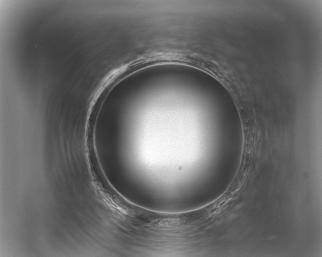 X0000057060104200509161502